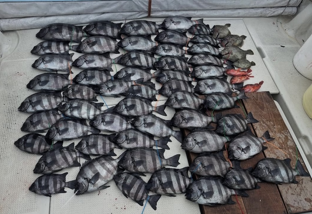 釣果